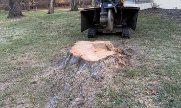 Stump Grinding in Greer, SC