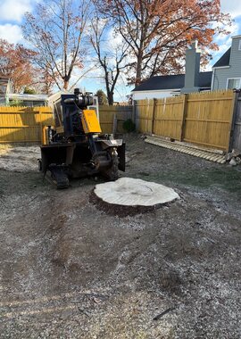 Stump grinder working in a fenced backyard in Greer, SC
