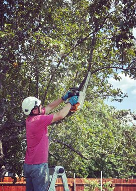 Arborist trimming branches with a pole saw in Greer, SC