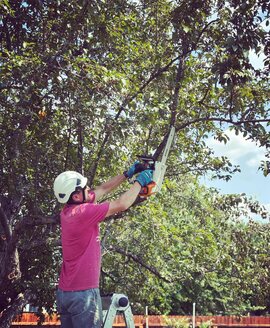 Evan Brooks, Pruning Specialist at Ridgeline Tree Pros