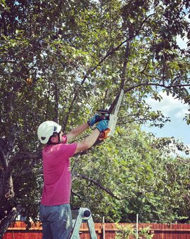Ridgeline arborist pruning a tree with a pole saw in Greer, SC
