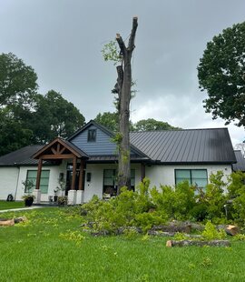 Front Yard Takedown – Storm-damaged tree taken down beside a home