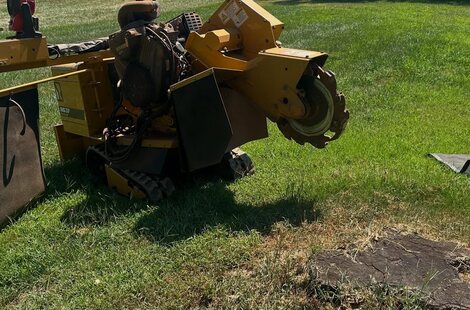 Stump Grinding – Multiple stumps ground out on a Lyman property