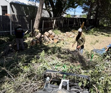 Storm Cleanup – Backyard storm debris cleared in Greenville