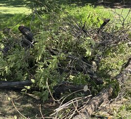 Storm Debris Haul-Off – Taylors – Storm brush piled and hauled