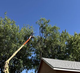 Limb Removal – Wellford – Overhanging limbs cut back from a garage