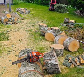 Hardwood Removal – Taylors – Backyard hardwood cut into rounds