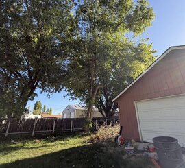 Storm Damage Cleanup – Wellford – Backyard cleared after a storm
