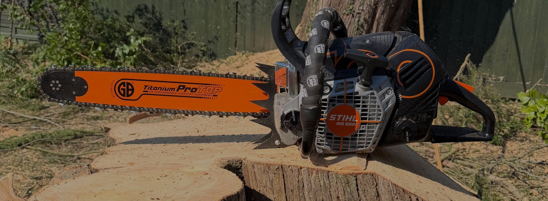 Chainsaw resting on a freshly cut stump after a tree removal in Greer, SC