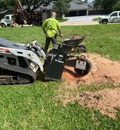 Completed tree project in Lyman, SC