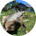 Tree job for Karen M. in Greer, SC