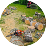 Tree job for David R. in Taylors, SC