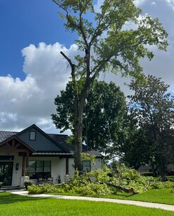 Tree job completed for Karen M. in Greer, SC