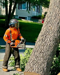 Tree job completed for David R. in Taylors, SC