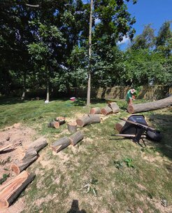 Tree job completed for Mike and Jen P. in Greenville, SC