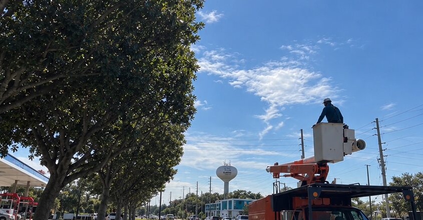 Bucket truck trimming a tree along a street in Greer, SC